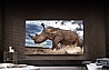 LG QNED 4K QNED81 86QNED816RE