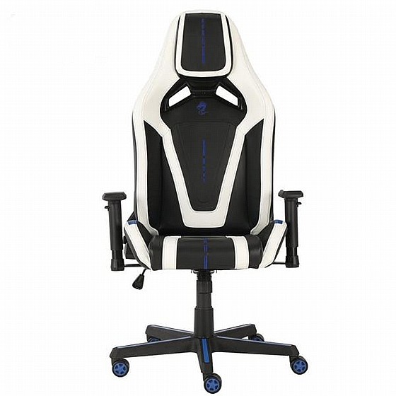 ���� ������� D-RACER �����